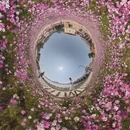 漳州旅游 缩略图 6