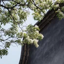 福州旅游 缩略图 5