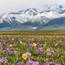 伊犁旅游 缩略图 9