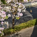 漳州旅游 缩略图 6