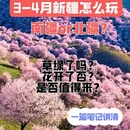 伊犁旅游 缩略图 1