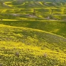 伊犁旅游 缩略图 6