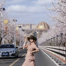 乌鲁木齐旅游 缩略图 5