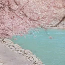 喀什地区旅游 缩略图 3