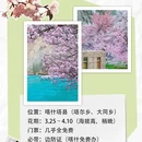 伊犁旅游 缩略图 3