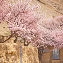 喀什地区旅游 缩略图 4