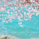 喀什地区旅游 缩略图 5