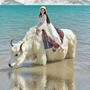 喀什地区旅游 缩略图 7