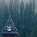 伊犁旅游 缩略图 12