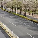 漳州旅游 缩略图 7