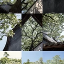福州旅游 缩略图 10