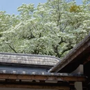 福州旅游 缩略图 9