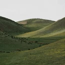 伊犁旅游 缩略图 16