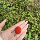 福州旅游 缩略图 13