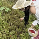 福州旅游 缩略图 11