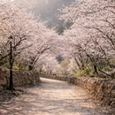 伊犁旅游 缩略图 10