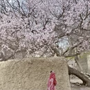 喀什地区旅游 缩略图 1