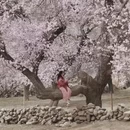 喀什地区旅游 缩略图 2