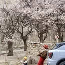 喀什地区旅游 缩略图 7