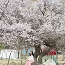 喀什地区旅游 缩略图 8