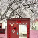 喀什地区旅游 缩略图 9