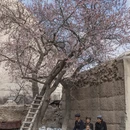 喀什地区旅游 缩略图 13