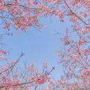 漳州旅游 缩略图 3