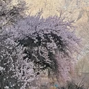 喀什地区旅游 缩略图 10
