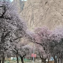 喀什地区旅游 缩略图 11