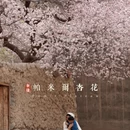 乌鲁木齐旅游 缩略图 3