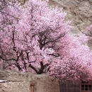 乌鲁木齐旅游 缩略图 1