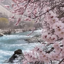 喀什地区旅游 缩略图 6