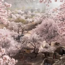 喀什地区旅游 缩略图 10