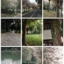 漳州旅游 缩略图 1