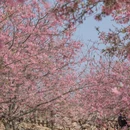漳州旅游 缩略图 12