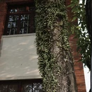 漳州旅游 缩略图 7