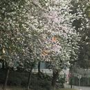 漳州旅游 缩略图 2