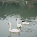 漳州旅游 缩略图 8