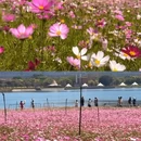 漳州旅游 缩略图 5