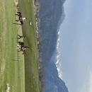 伊犁旅游 缩略图 1