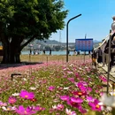 漳州旅游 缩略图 9