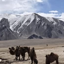 喀什地区旅游 缩略图 5