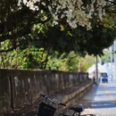 漳州旅游 缩略图 13