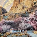 喀什地区旅游 缩略图 2