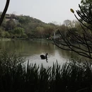 漳州旅游 缩略图 17