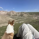 伊犁旅游 缩略图 2
