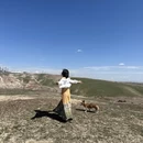 伊犁旅游 缩略图 1