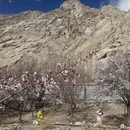 喀什地区旅游 缩略图 5