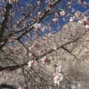 喀什地区旅游 缩略图 4
