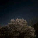 喀什地区旅游 缩略图 4